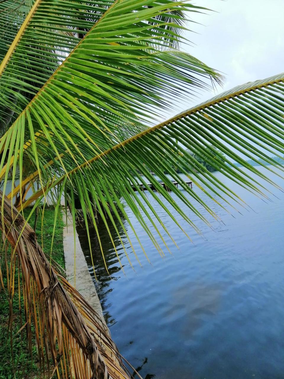 Hikka Lagoon Хиккадува Экстерьер фото